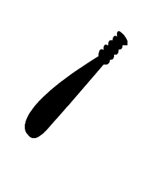 Police Baton