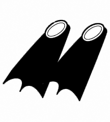Flippers