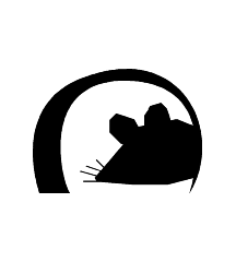 Rat Hole