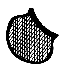 Hair Net