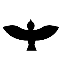 Bird Flying