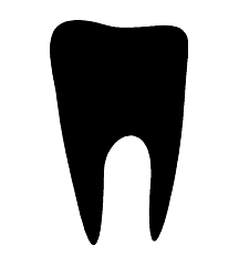 Molar Tooth