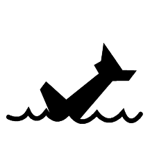 Aeroplane Crashed Into Sea