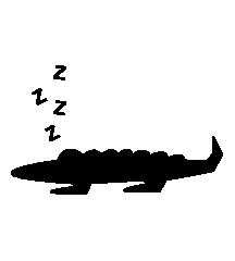 Alligator Asleep