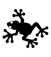 Asian Tree Frog