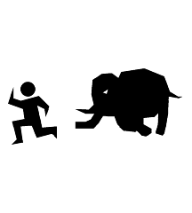 Attacked By Elephant