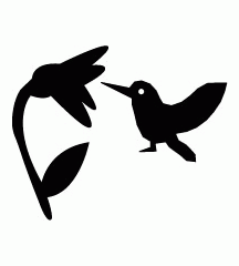 Hummingbird