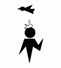 Bird Droppings On Head