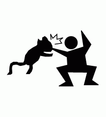 Bitten By Cat