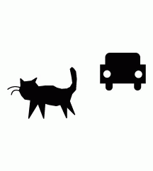 Black Cat Crossing Road