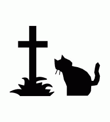 Black Cat Near Graveyard