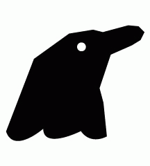 Bottlenose Dolphin