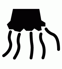 Dead Jellyfish