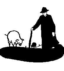Pig Shepherd