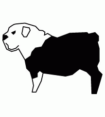 Bulldog