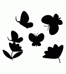 Butterfly Park