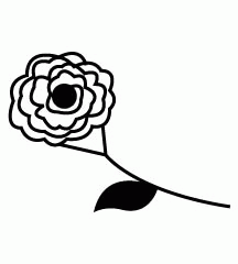Camellia