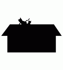 Cat Gave Birth On Roof Top