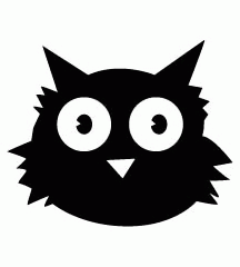 Cat With Big Yellow Eyes