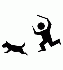 Catching Dog