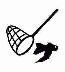 Catching Flying Fish
