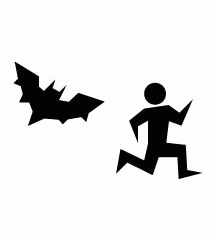 Chased By Black Bat