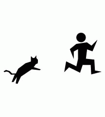 Chased By Black Cat