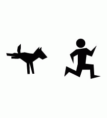 Chased By Black Dog