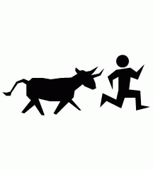 Chased By Mad Cow