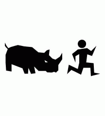 Chased By Rhino