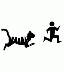 Chased By Tiger