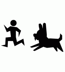Chased By Pig
