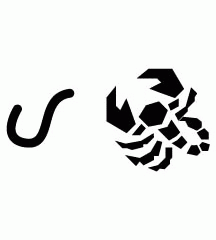 Centipede And Scorpion