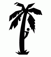 Climbing Up Coconut Tree