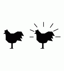 Cloning Chicken