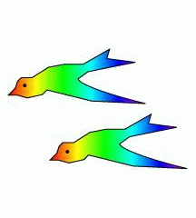 Bird With Seven Different Colours