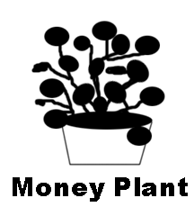Money Plant