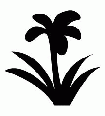Iris (Flower)