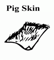 Pig Skin