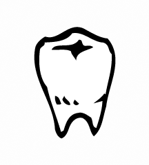 Wisdom Tooth