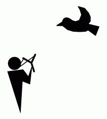 Shooting Bird With Catapult