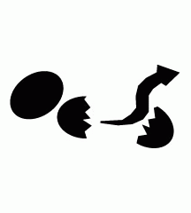 Snake Egg