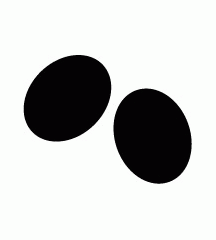 Duck Egg