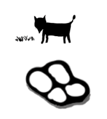 Mutton