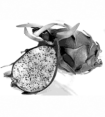 Dragon Fruit