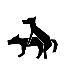 Dogs Mating