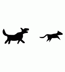 Dog Chasing Cat