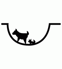 Dog Gave Birth In Drain