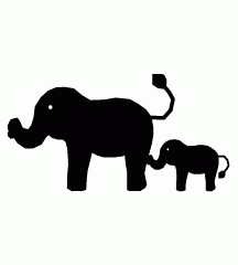 Elephant Gave Birth