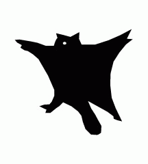 Flying Squirrel
